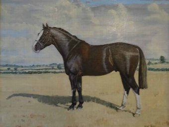 Antique Michael Jeffery (1941-2013) SUPERB ORIGINAL HUNTER HORSE OIL PORTRAIT PAINTING