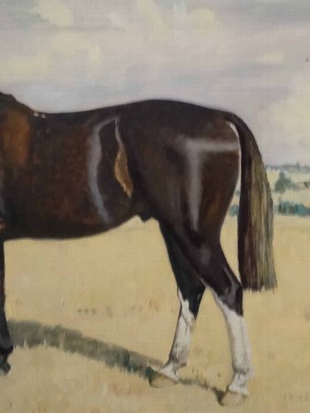 Antique Michael Jeffery (1941-2013) SUPERB ORIGINAL HUNTER HORSE OIL PORTRAIT PAINTING