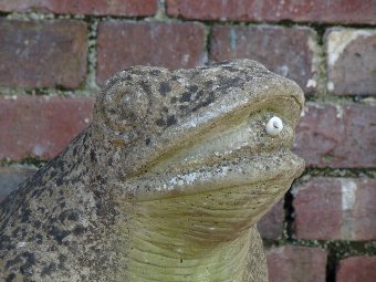 Large Weathered Frog