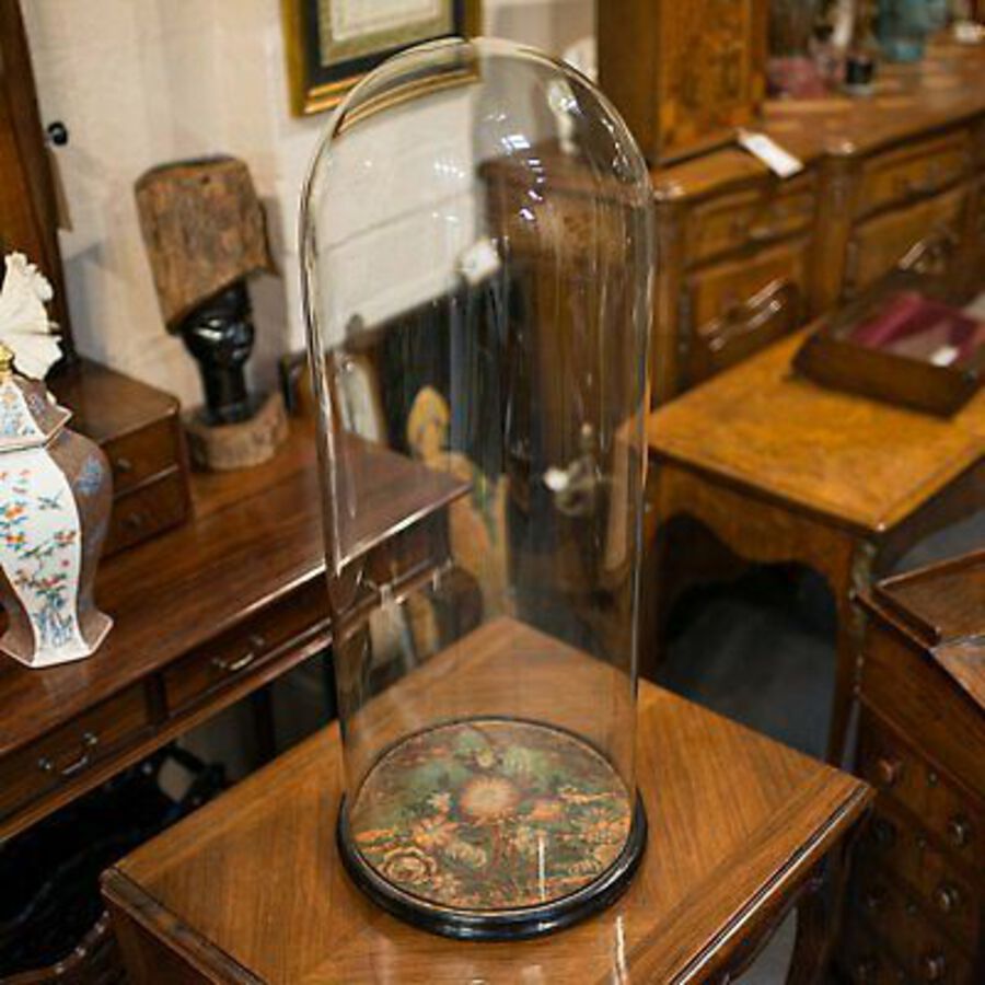 Antique Large Antique Glass Display Dome, English, Taxidermy, Showcase, Victorian, 1900