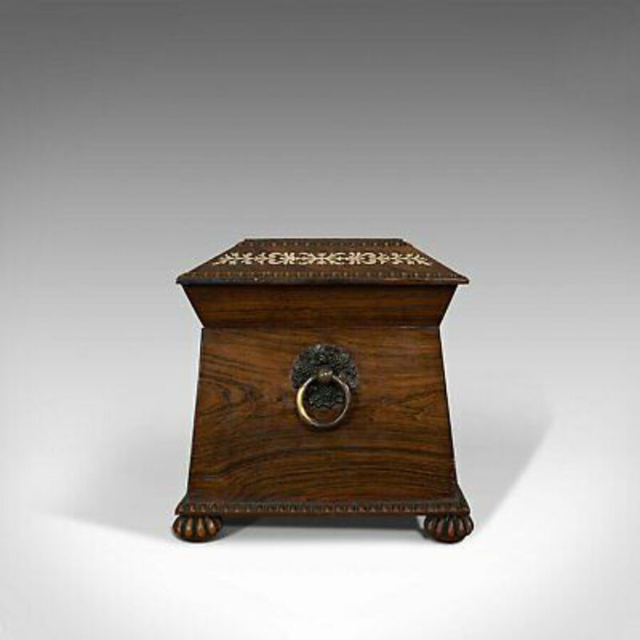 Antique Ornate Antique Tea Caddy, English, Rosewood, Sarcophagus, Chest, Regency, C.1820