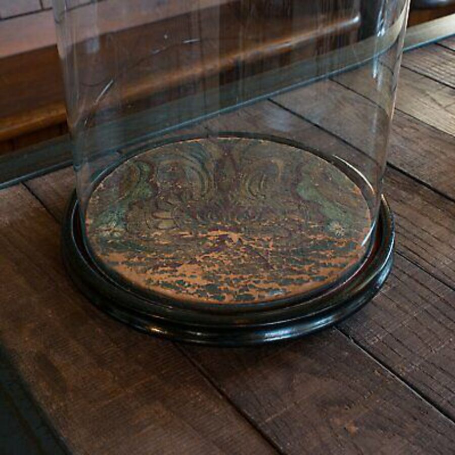 Antique Antique Taxidermy Dome, English, Glass, Collectible, Display Showcase, Edwardian