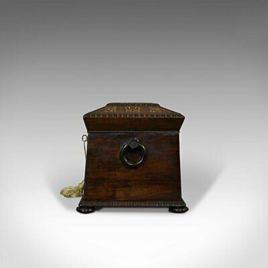 Antique Antique Tea Caddy, English, Rosewood, Chest, Thomas of London, Regency, C.1820