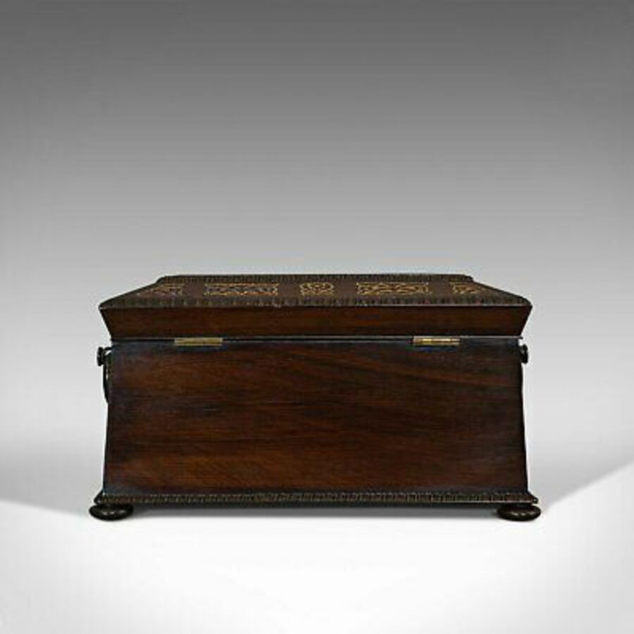 Antique Antique Tea Caddy, English, Rosewood, Chest, Thomas of London, Regency, C.1820