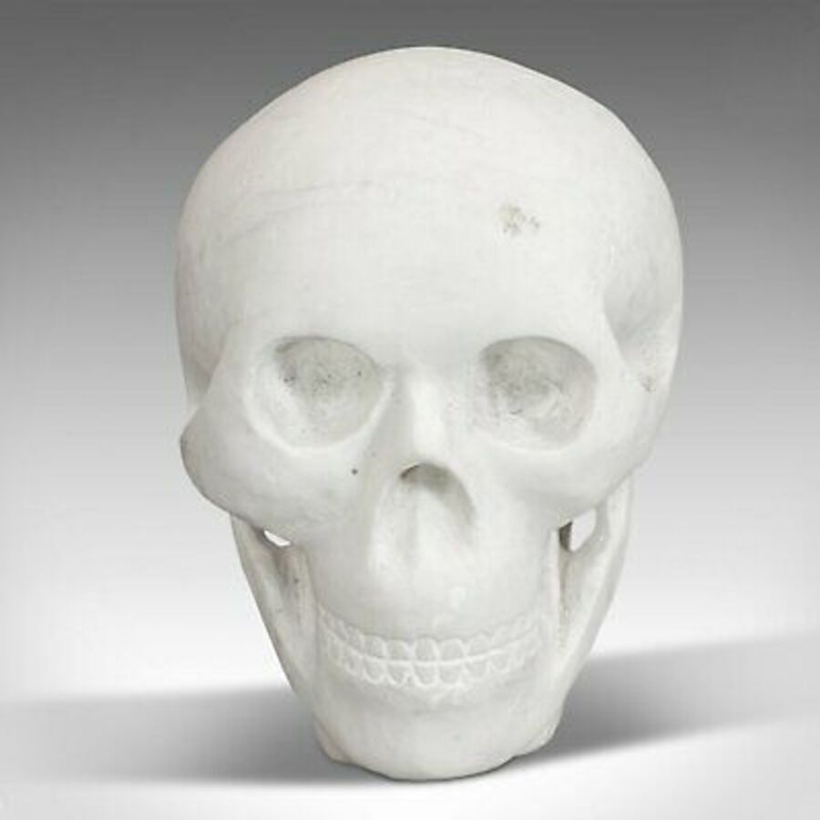 Antique Vintage Decorative Skull, English, White Marble, Desk, Ornament, Paperweight