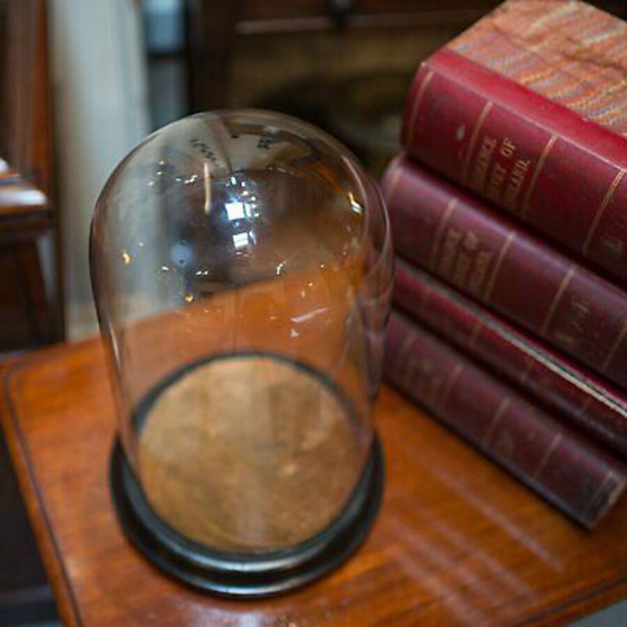 Antique Antique Taxidermy Showcase, English, Glass, Leather, Display Dome, 19th Century