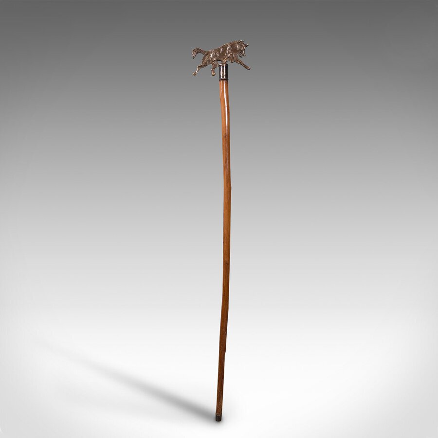 Antique Antique Gentleman's Walking Stick, German, Cane, Black Forest, Edwardian, C.1910