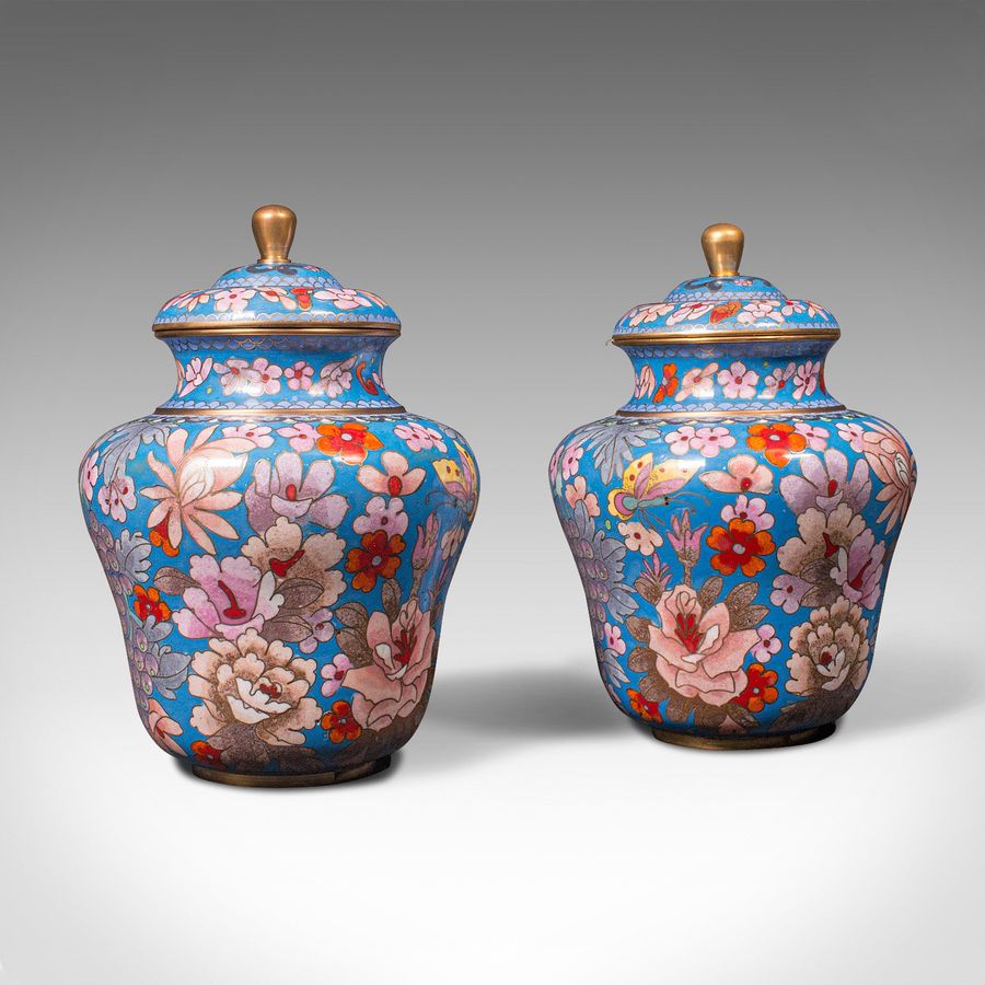 Pair Of Antique Cloisonne Spice Jars, English Ceramic, Decorative Pot, Victorian