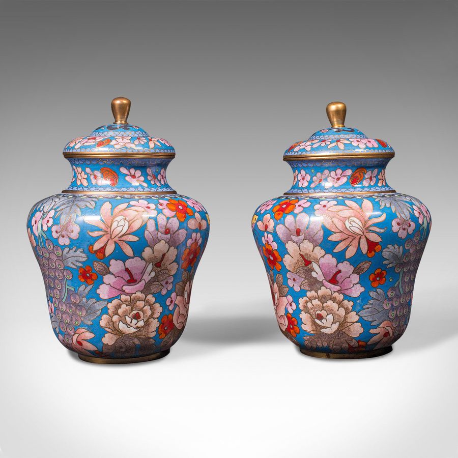 Antique Pair Of Antique Cloisonne Spice Jars, English Ceramic, Decorative Pot, Victorian