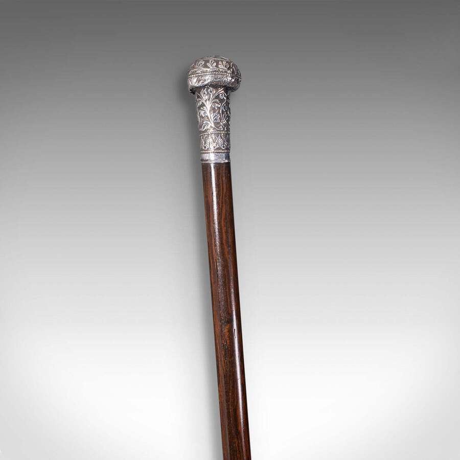 Antique Antique Colonial Walking Cane, Anglo Indian, Coromandel, Swagger Stick, Georgian