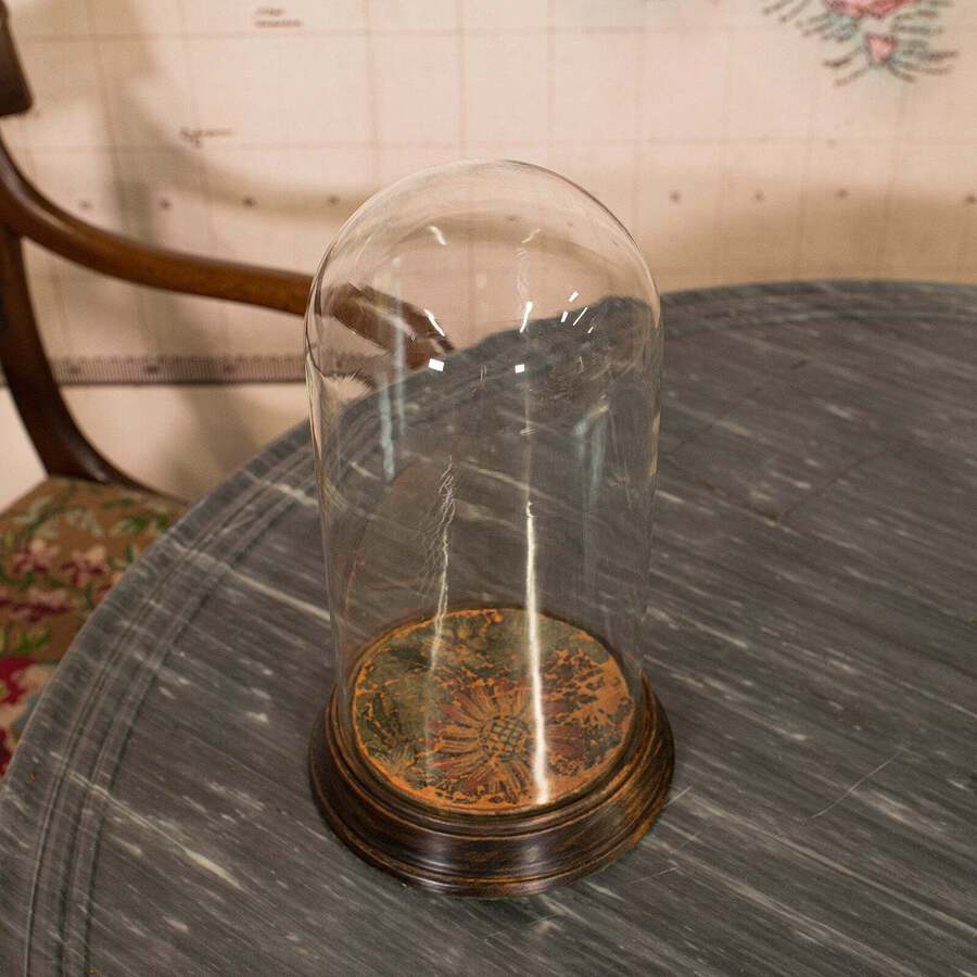 Antique Antique Display Dome, English, Glass, Beech, Taxidermy Showcase, Victorian, 1900