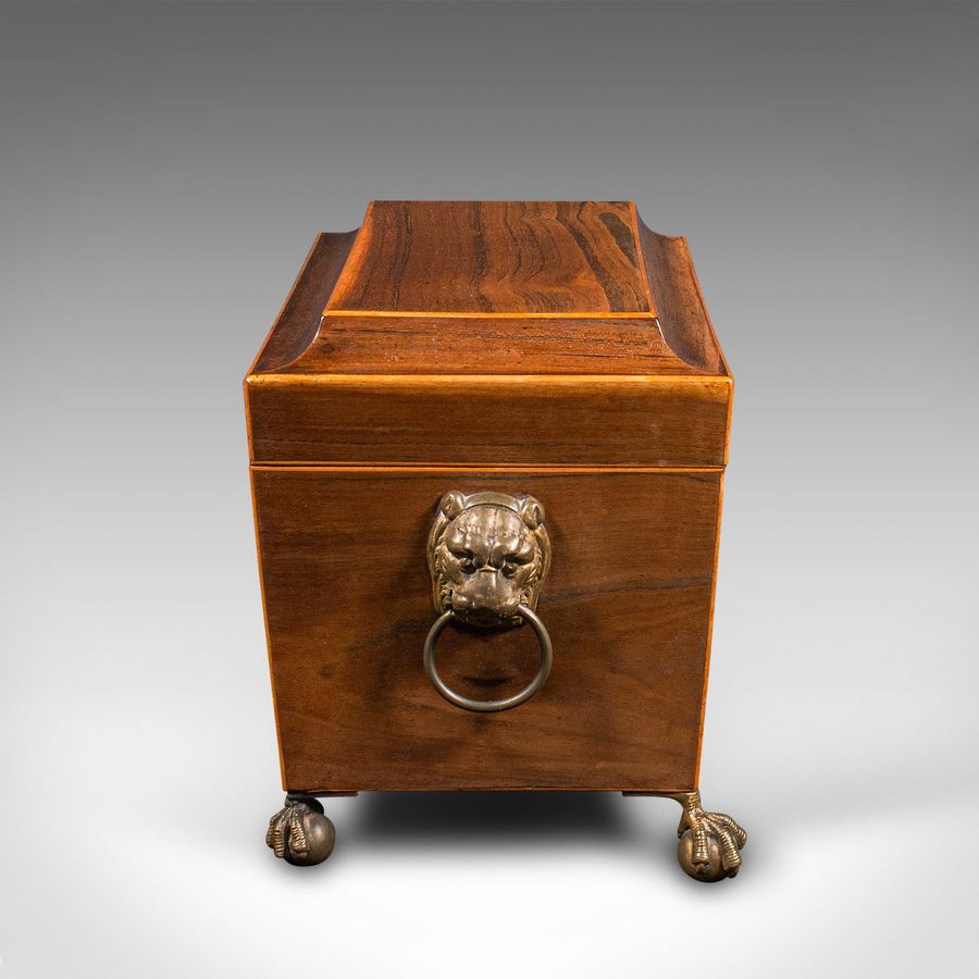 Antique Antique Sarcophagus Tea Caddy, English, Box, Glass Mixer, Regency, Circa 1820