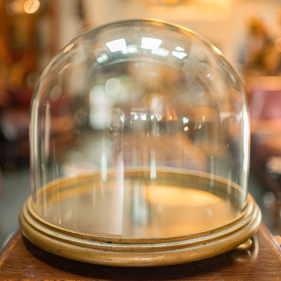 Antique Antique Mirrored Display Dome, English, Exhibition Taxidermy Showcase, Victorian