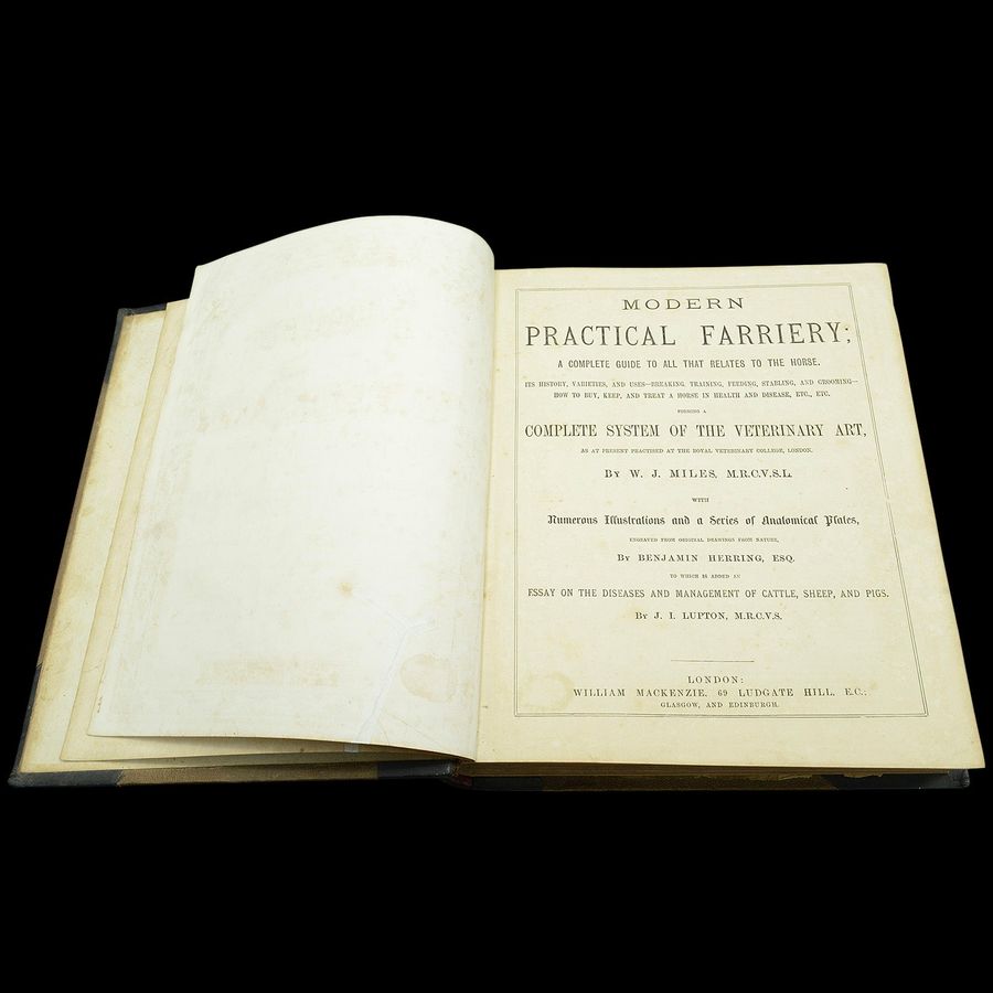Antique Antique Book Modern Practical Farriery, WJ Miles, English Language, Circa 1900
