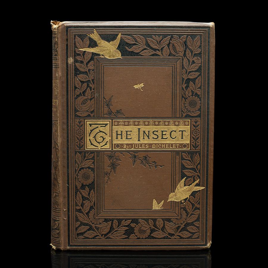 Antique Antique Book, The Insect, Jules Michelet, English, Nature, Reference, Victorian