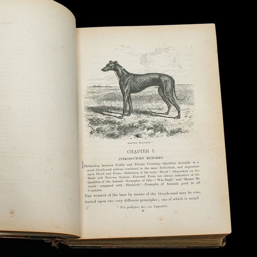 Antique Antique Reference Book, The Greyhound, English, Illustrated Guide, Victorian