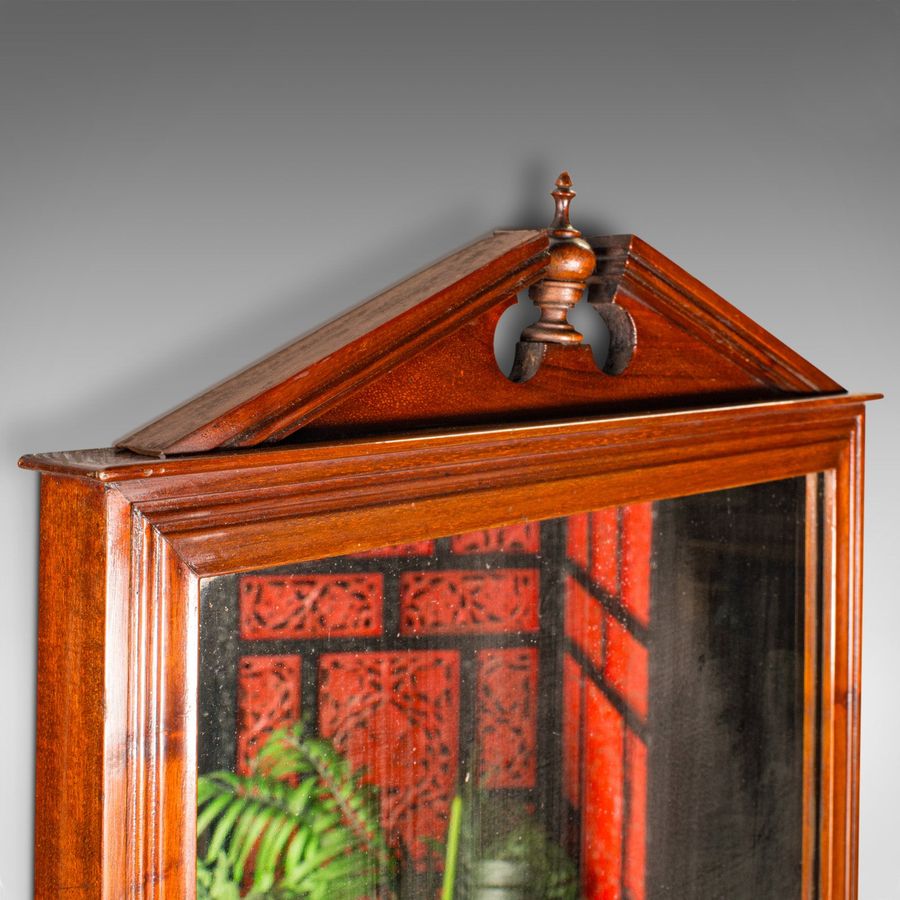 Antique Antique Valet Mirror, Glove Box, English, Reception, Scarf Rail, Victorian, 1900