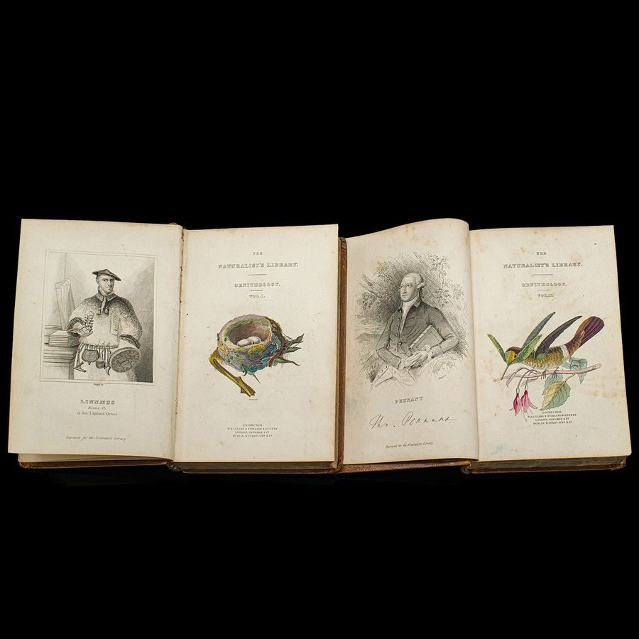 Antique Pair Of Antique Ornithology Books, English, 2 Vols, Hummingbirds, Circa 1830