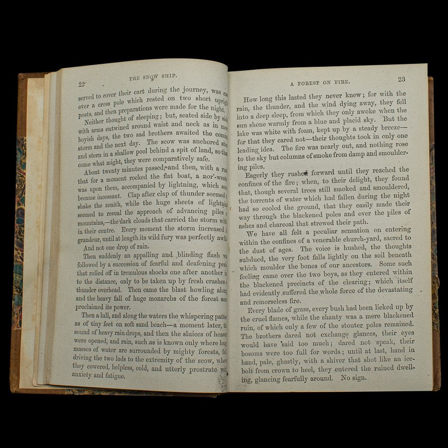 Antique Antique Novel, The Snow Ship, Percy St John, English, Fiction, Victorian, C.1880
