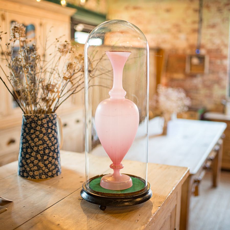 Antique Tall Antique Taxidermy Dome, English, Glass, Pine, Display Case, Victorian, 1880