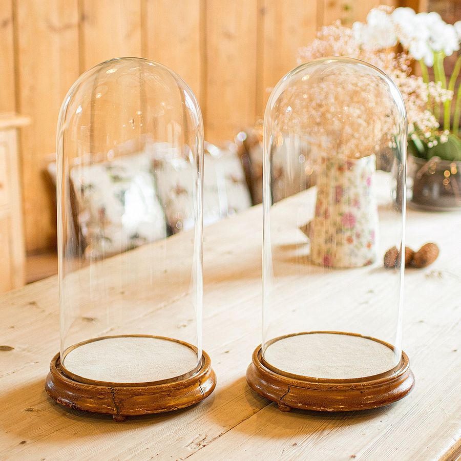 Antique Pair Of Antique Display Domes, English, Glass, Taxidermy Showcase, Victorian