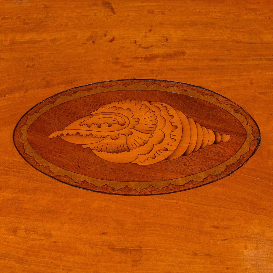 Antique Antique Butler's Serving Tray, English Satinwood, Afternoon Tea Platter, Regency