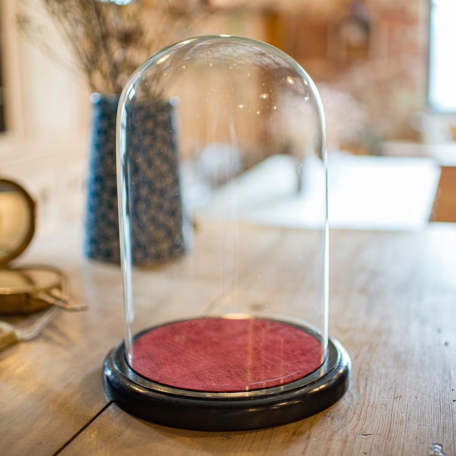 Antique Small Antique Display Case, English, Glass, Taxidermy Dome, Victorian, C.1900