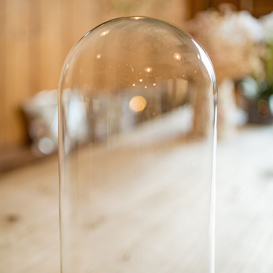 Antique Medium Antique Taxidermy Dome, English, Glass Display Showcase, Edwardian, 1910