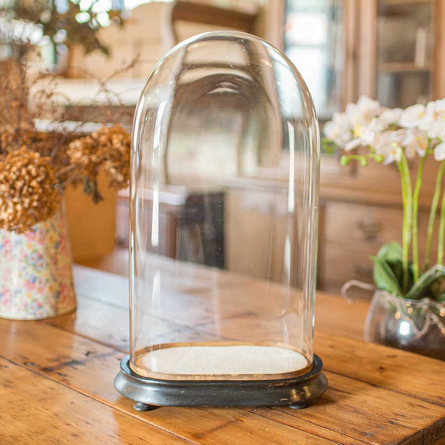 Antique Slimline Antique Display Dome, English, Glass, Ornamental Showcase, Victorian