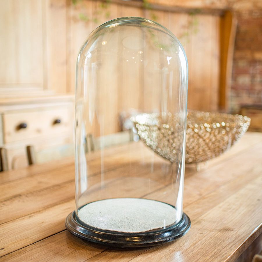 Antique Wide Antique Taxidermy Dome, English, Glass Specimen Showcase, Victorian, C.1870