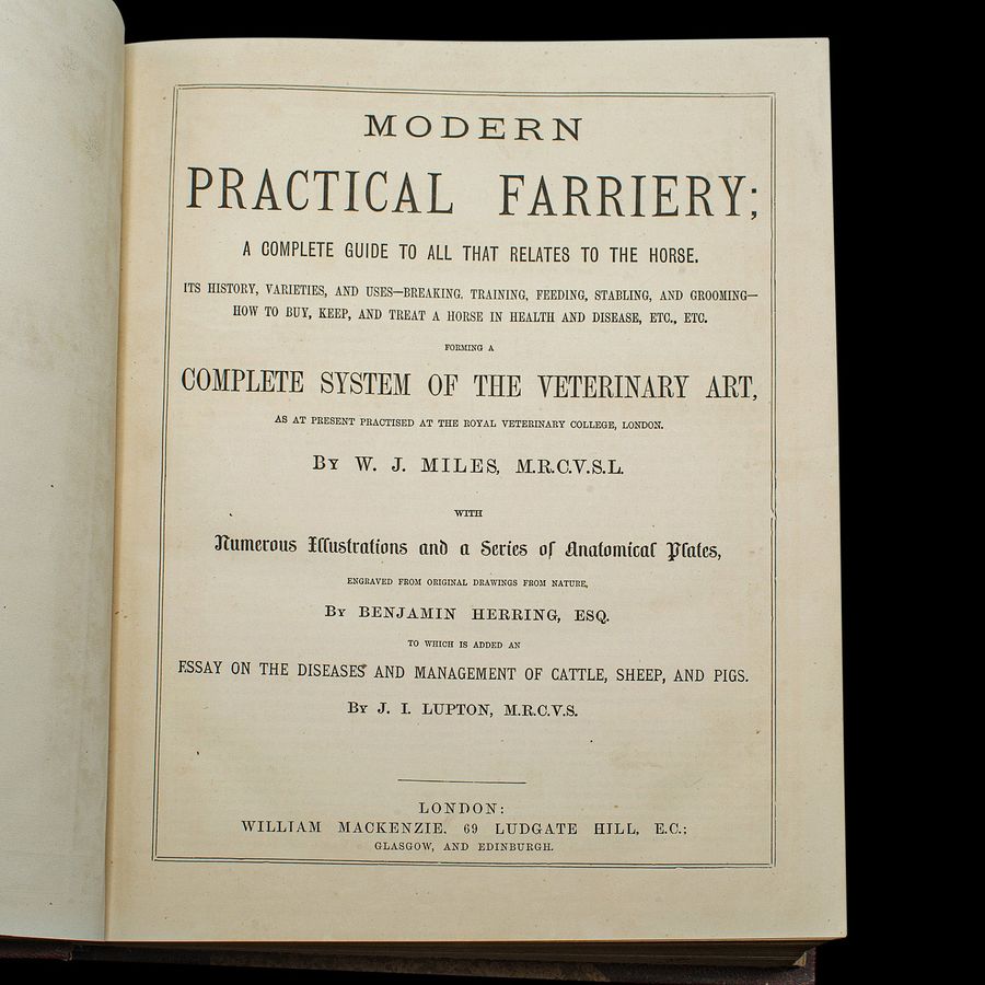 Antique Antique Equestrian Reference Book, Modern Practical Farriery, English, Victorian