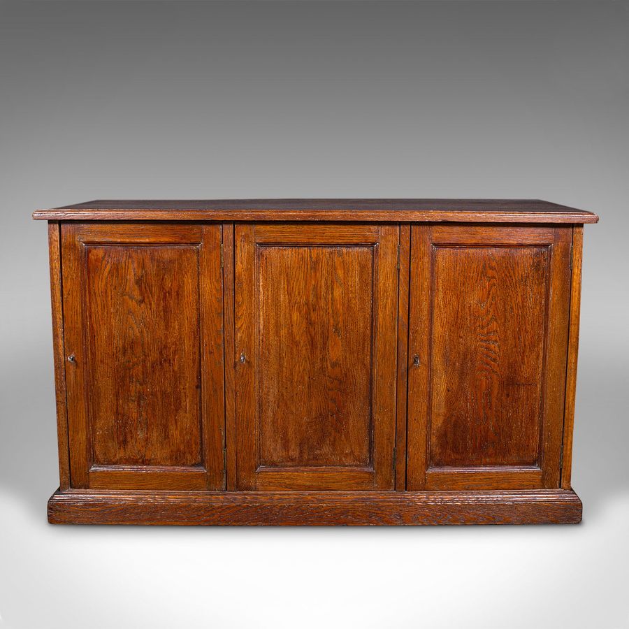 Antique Antique Side Cabinet, English Oak, Hall Cupboard, Country House, Victorian, 1880