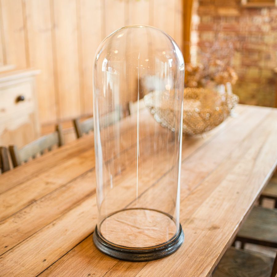 Antique Tall Victorian Antique Taxidermy Specimen Dome, English Glass Display Case, 1870