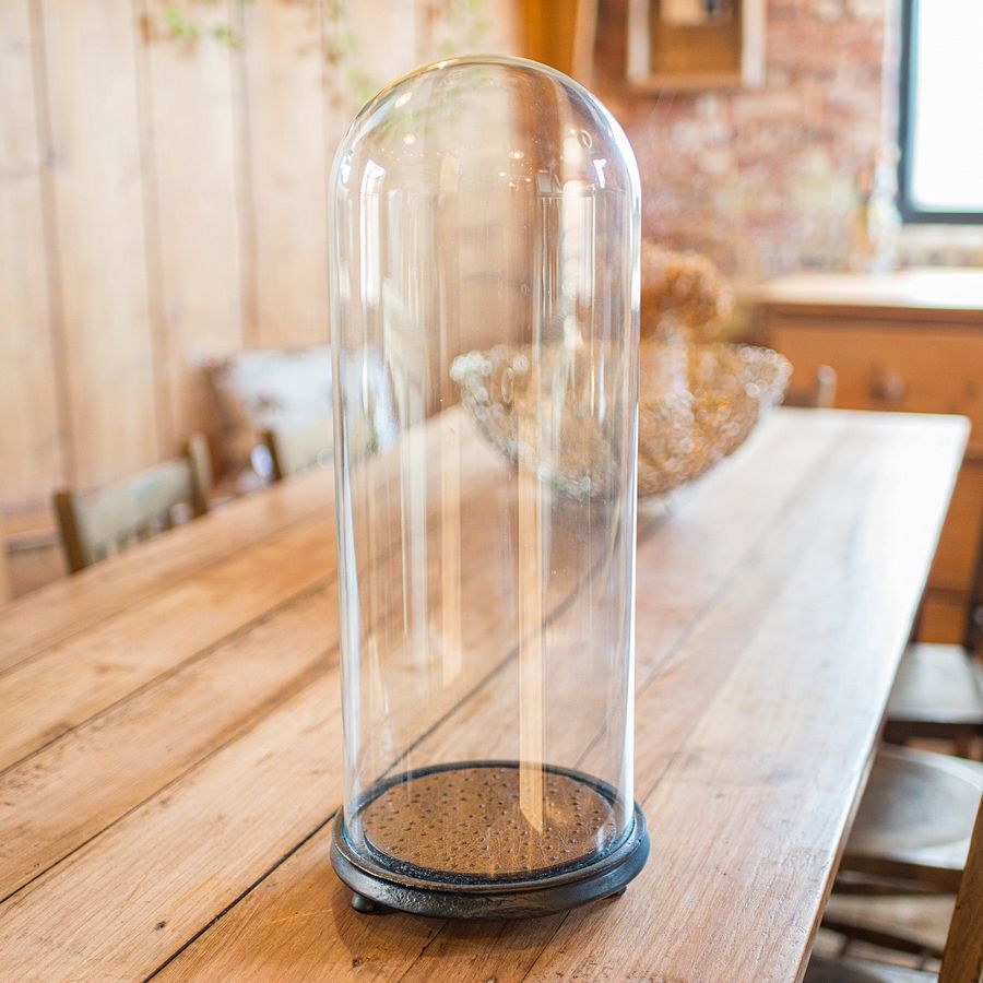 Antique Antique Taxidermy Specimen Dome, English, Glass, Tall Showcase, Victorian, 1900