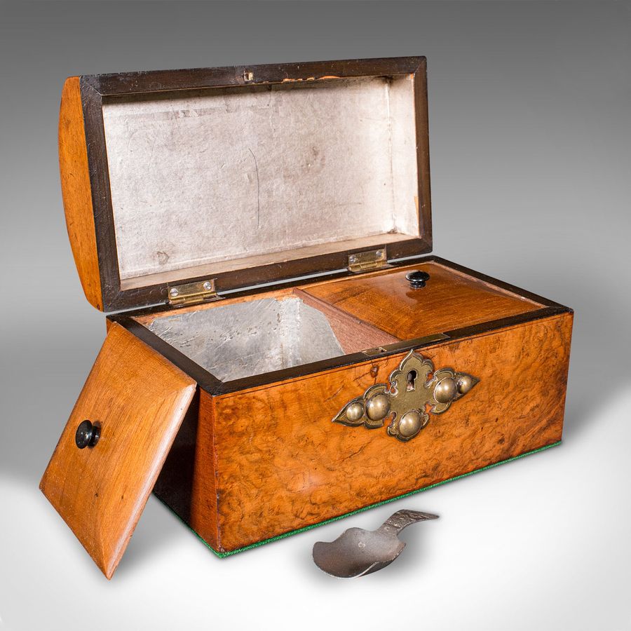 Antique Antique Dome Top Tea Caddy, English, Burr Walnut, Box, Gothic Taste, Victorian