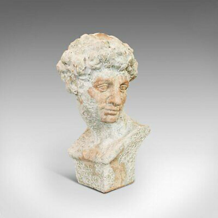 Vintage Male Bust, English, Terracotta, Figure, Neo Classical, David, Circa 1950