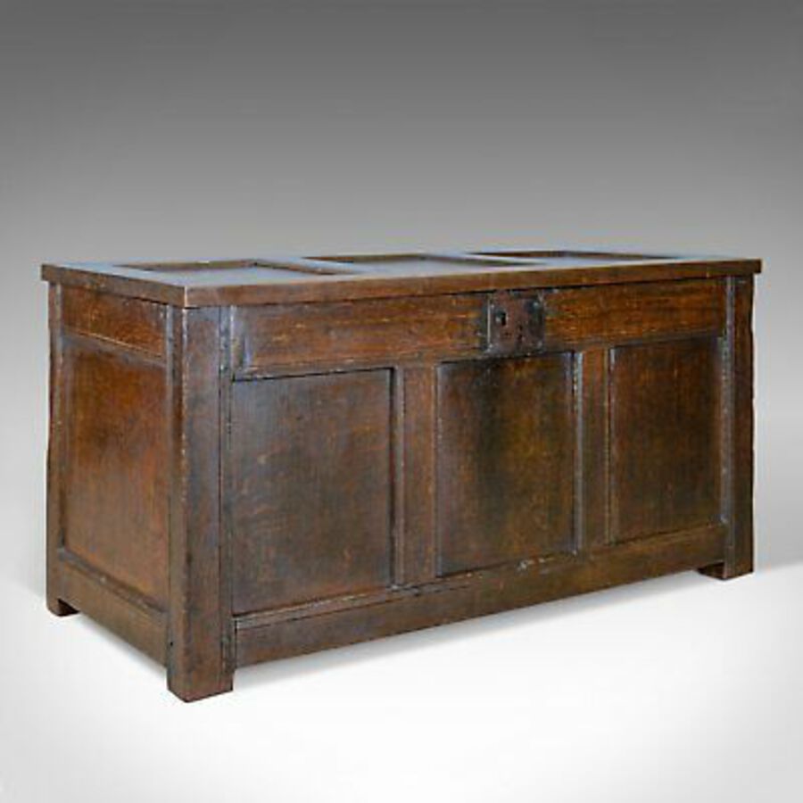 Antique Antique Coffer, Oak, Joined Chest, Three Panel Trunk, Early 18th Century c.1700