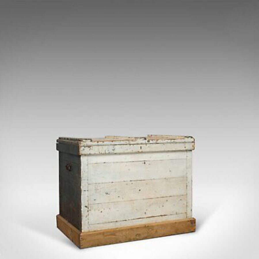 Antique Antique Travel Trunk, English, Pine, Zinc Lined, Carriage Chest, Victorian