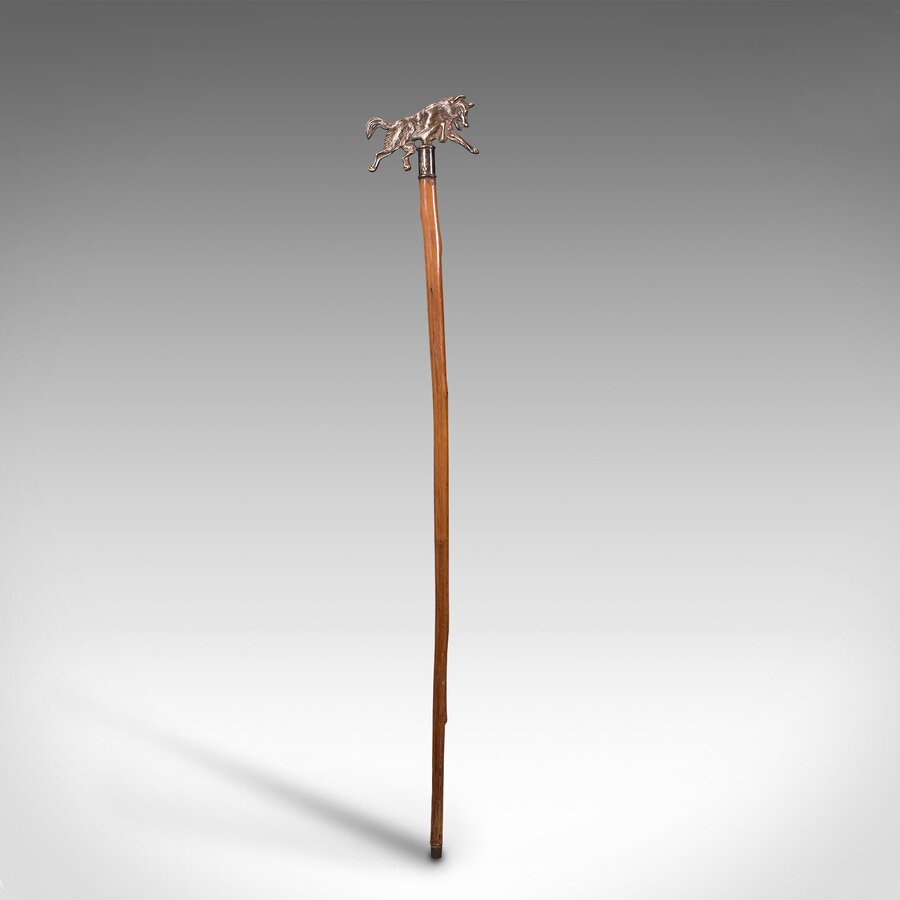 Antique Antique Gentleman's Walking Stick, German, Cane, Black Forest, Edwardian, C.1910