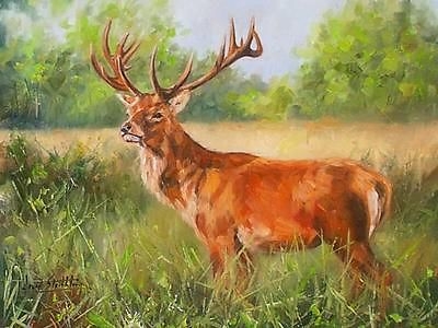 Fine David Stribbling Oil Painting Of A Red Deer (Stag) - British Wildlife Art