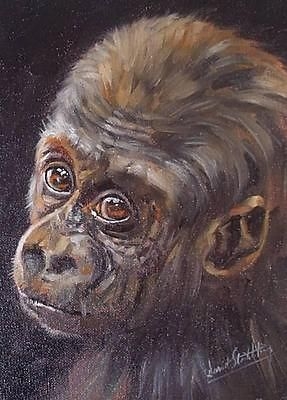 Fine David Stribbling Oil Painting Of A Young Gorilla (Primate) - Wildlife Art