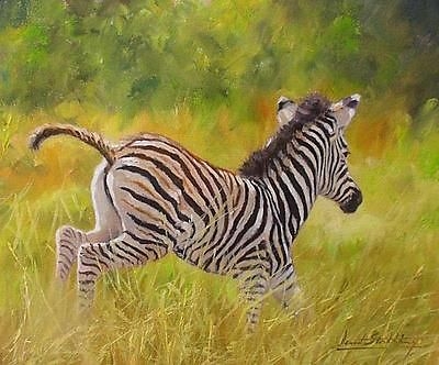 Attractive David Stribbling Oil Painting Of A Zebra (British Wildlife Artist)