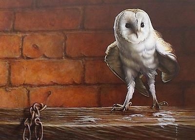 Fine Wayne Westwood Oil Painting Of A Barn Owl (Original Wildlife Art)