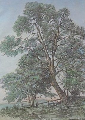 Superb Adrian Hill (RA, RBA, NEAC) Trees Landscape Pastel Painting