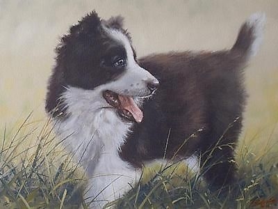 Antique John Silver Original Oil Painting Of A Border Collie Dog - British Wildlife Art