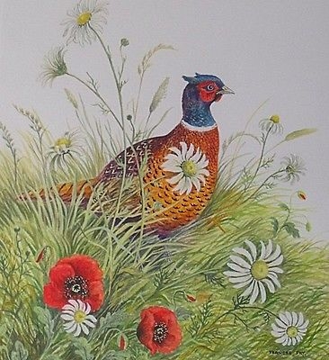 Delightful Frances Fry Watercolour Painting - Pheasant Standing Amongst Flowers