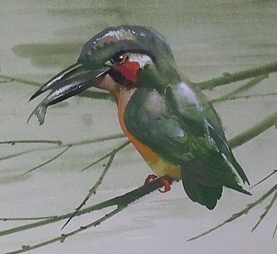 Wonderful Edwin Penny Original Watercolour Painting Of A Kingfisher Bird