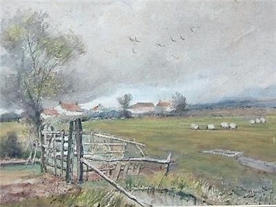 Antique W Paton Burton Sheep Rural Watercolour Painting