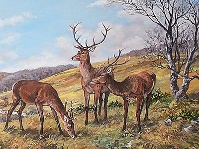 Antique Frances Fry Original Oil Painting - Stags On Room Hill Exmoor Landscape