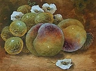 Christopher Hughes (Ex Royal Worcester) Still Life Fruit Watercolour Painting  *